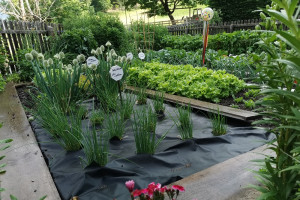 🌿Lenteontwaken op de Ritten – Herlaad uzelf op de Moosbachhof🌿